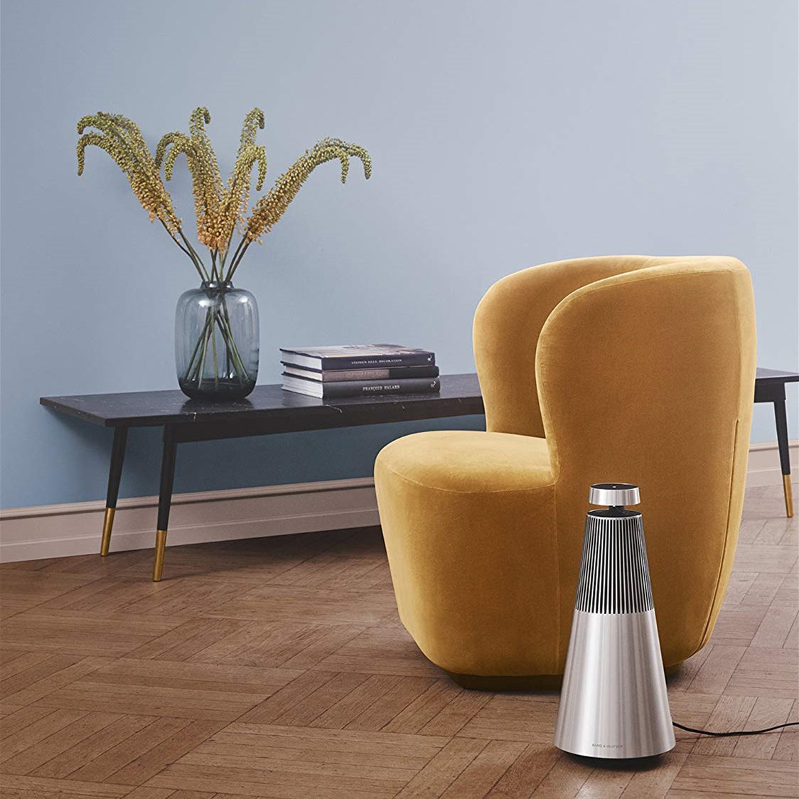 B&O BeoSound 2 Home Wireless Music Speaker - Jungle